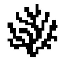 Coral Protocol
