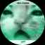 His name gort